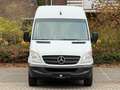 Mercedes-Benz Sprinter 313 Cdi Maxi 9 Sitze 6 Gang Lift Klima Weiß - thumbnail 35