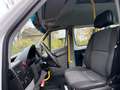 Mercedes-Benz Sprinter 313 Cdi Maxi 9 Sitze 6 Gang Lift Klima Weiß - thumbnail 12