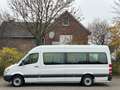 Mercedes-Benz Sprinter 313 Cdi Maxi 9 Sitze 6 Gang Lift Klima Weiß - thumbnail 49