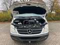 Mercedes-Benz Sprinter 313 Cdi Maxi 9 Sitze 6 Gang Lift Klima Weiß - thumbnail 36
