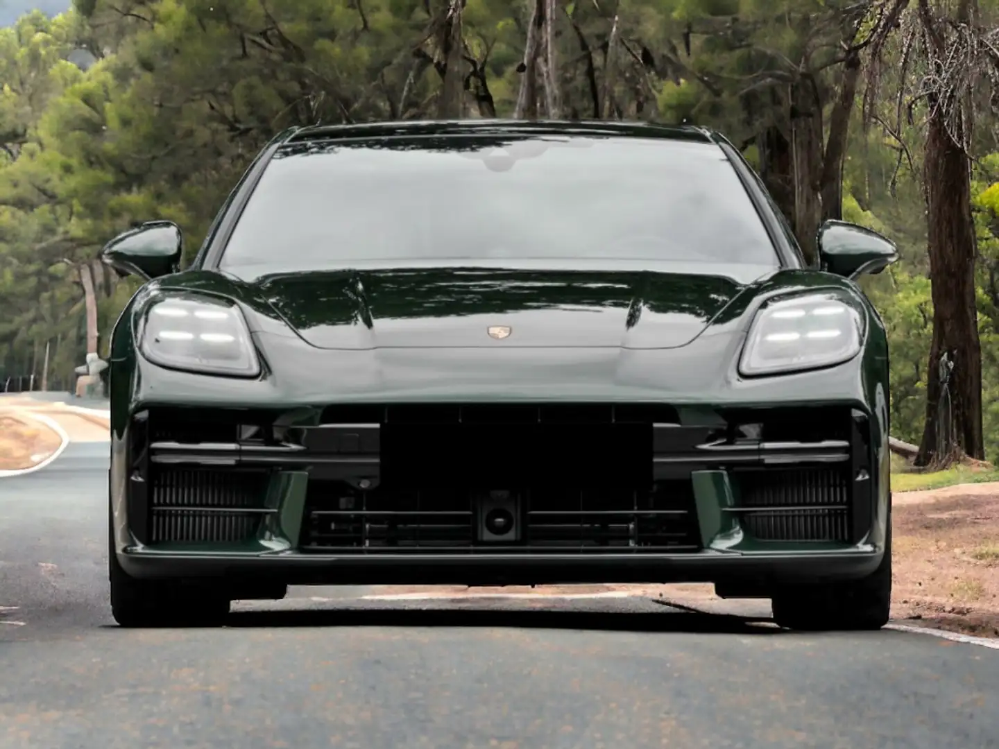 Porsche Panamera 4 E-Hybrid Aut. Verde - 1