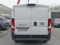 Citroen Jumper Ducato 30 2.2 Mjt 120CV L2 H1 PM-TN Furgone Alb - thumbnail 6