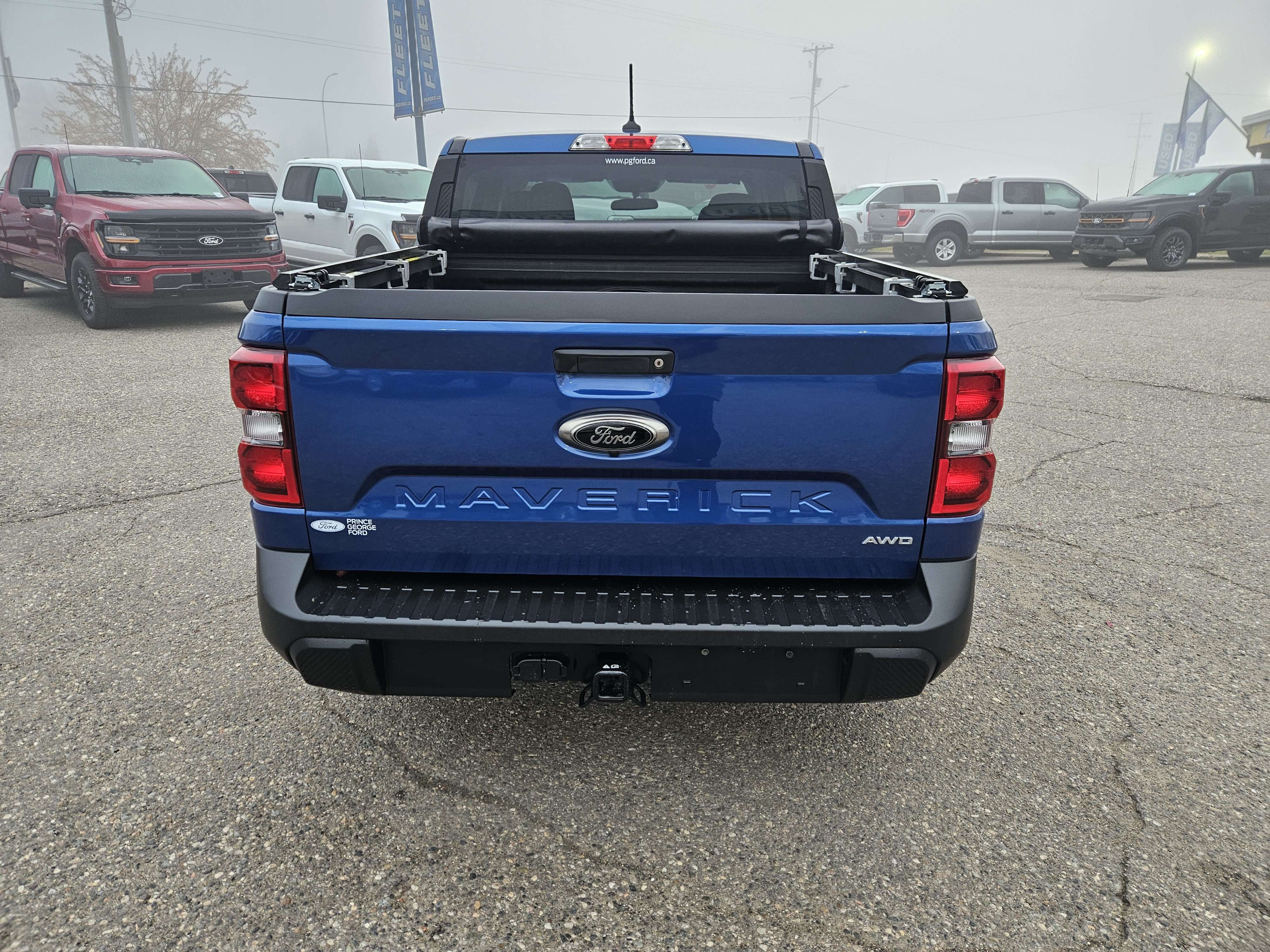 Image 6