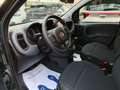 Fiat Panda Cross 1.0 70cv S&S Hybrid CROSS #VARI COLORI Verde - thumbnail 10