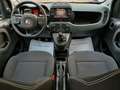 Fiat Panda Cross 1.0 70cv S&S Hybrid CROSS #VARI COLORI Verde - thumbnail 14