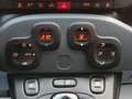 Fiat Panda Cross 1.0 70cv S&S Hybrid CROSS #VARI COLORI Verde - thumbnail 13