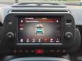 Fiat Panda Cross 1.0 70cv S&S Hybrid CROSS #VARI COLORI Verde - thumbnail 12