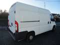 Peugeot boxer Blanc - thumbnail 5