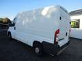 Peugeot boxer Blanc - thumbnail 6