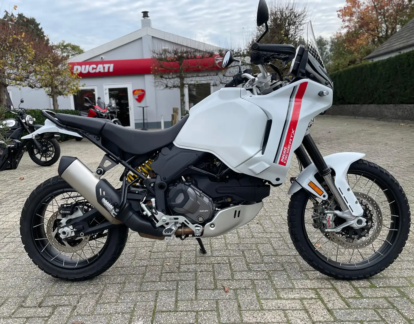 Ducati DesertX Wit - 1