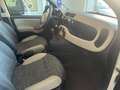 Fiat Panda 0.9 t.air turbo 4x4 85cv GARANZIA 1 ANNO - thumbnail 11