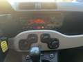 Fiat Panda 0.9 t.air turbo 4x4 85cv GARANZIA 1 ANNO - thumbnail 13