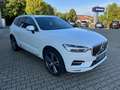 Volvo XC60 D4 AWD Geartronic Inscription Bianco - thumbnail 4