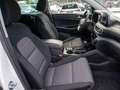 Hyundai TUCSON Tucson 1.6 Premium 2WD AHK+Kamera+PTS+SHZ+Navi Blanc - thumbnail 6