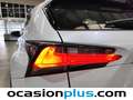 Lexus NX 300 300h Executive 4WD Tecno Blanco - thumbnail 15