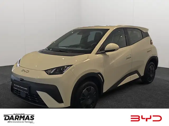 BYD Dolphin DOLPHIN SURF Active