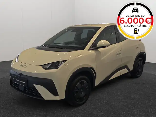 BYD Dolphin DOLPHIN SURF Active