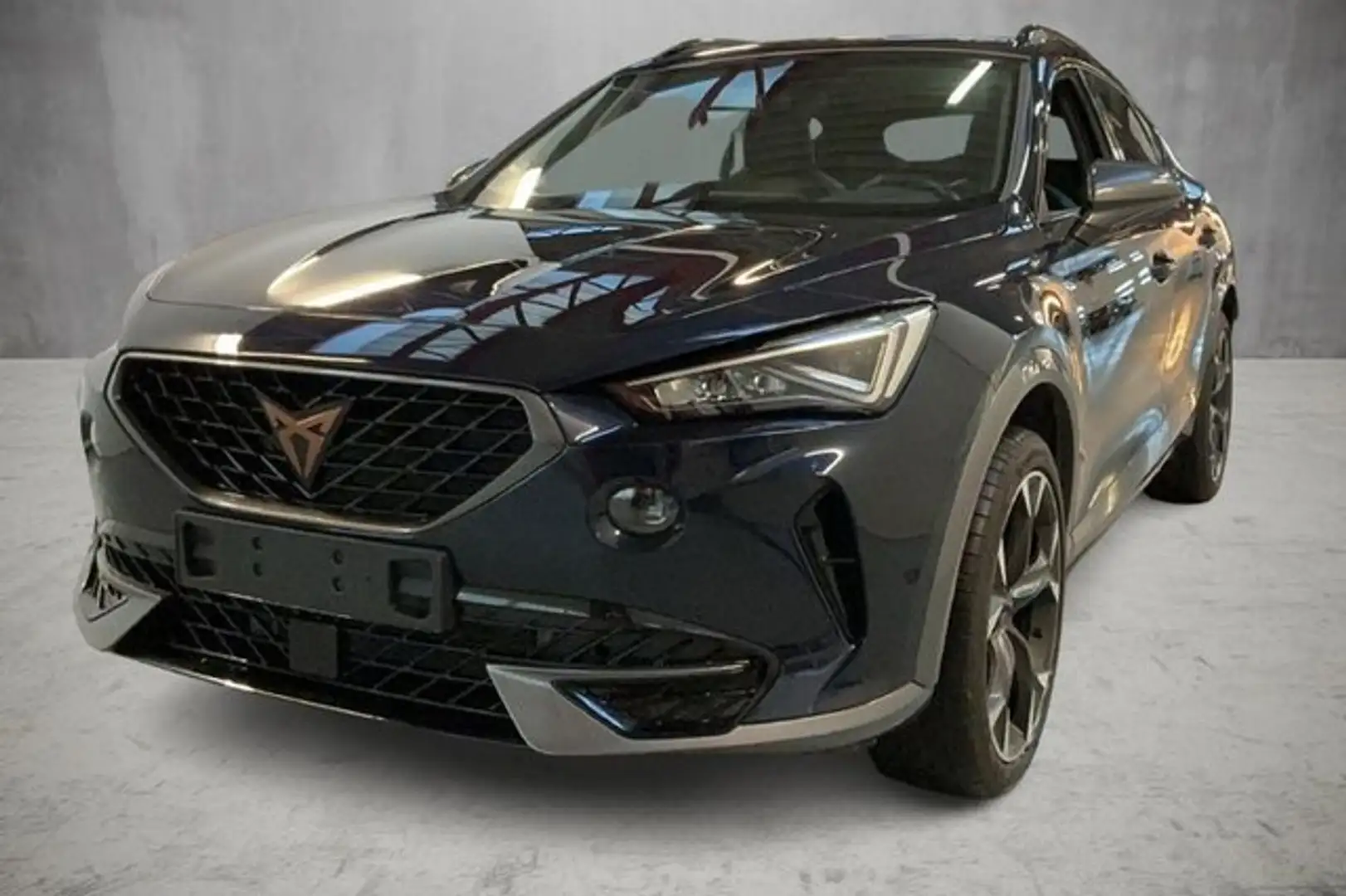 CUPRA Formentor 1.5 TSI DSG Kamera/19/Side&Lane/LED Basis Blau - 1