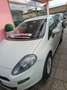 Fiat Punto Evo Punto Evo 1.4 5 porte S&S Dynamic Alb - thumbnail 3