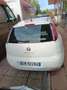 Fiat Punto Evo Punto Evo 1.4 5 porte S&S Dynamic Alb - thumbnail 5