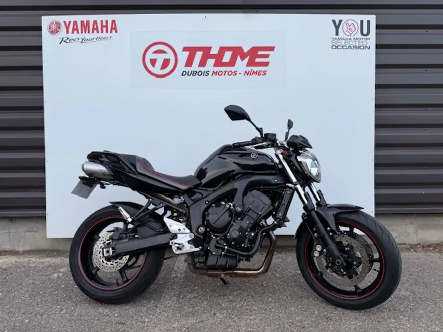Yamaha FZ 6 Noir - 1