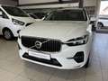 Volvo XC60 B4 (D) Core ACC Kamera LED WinterPkt 19Zoll Blanc - thumbnail 2