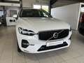 Volvo XC60 B4 (D) Core ACC Kamera LED WinterPkt 19Zoll Blanc - thumbnail 4