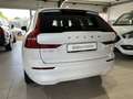 Volvo XC60 B4 (D) Core ACC Kamera LED WinterPkt 19Zoll Blanc - thumbnail 9