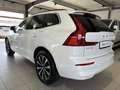 Volvo XC60 B4 (D) Core ACC Kamera LED WinterPkt 19Zoll Blanc - thumbnail 10