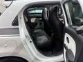 Renault Twingo Limited Cabrio/Klima/LED Белый - thumbnail 11