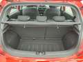 Kia Picanto Rojo - thumbnail 4