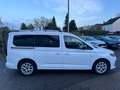 Ford Grand Tourneo Titanium Panorama Weiß - thumbnail 5