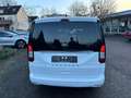 Ford Grand Tourneo Titanium Panorama Weiß - thumbnail 7