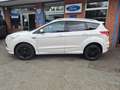 Ford Kuga Individual Білий - thumbnail 5