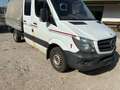 Mercedes-Benz Sprinter Sprinter 313 CDI 3,5 t / 3.250 mm Weiß - thumbnail 1