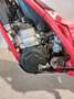 Gas Gas TXT 250 / 2020 Rouge - thumbnail 8