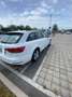 Audi A4 Avant 2.0 tdi ultra Business 150cv s-tronic Bianco - thumbnail 6