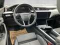 Audi e-tron 50 quattro 230 kW Business Grau - thumbnail 13