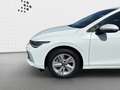 Volkswagen Golf VIII 1.5 TSI Life* LED* App-Connect* SHZ* A Weiß - thumbnail 14