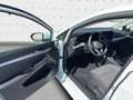 Volkswagen Golf VIII 1.5 TSI Life* LED* App-Connect* SHZ* A Weiß - thumbnail 15