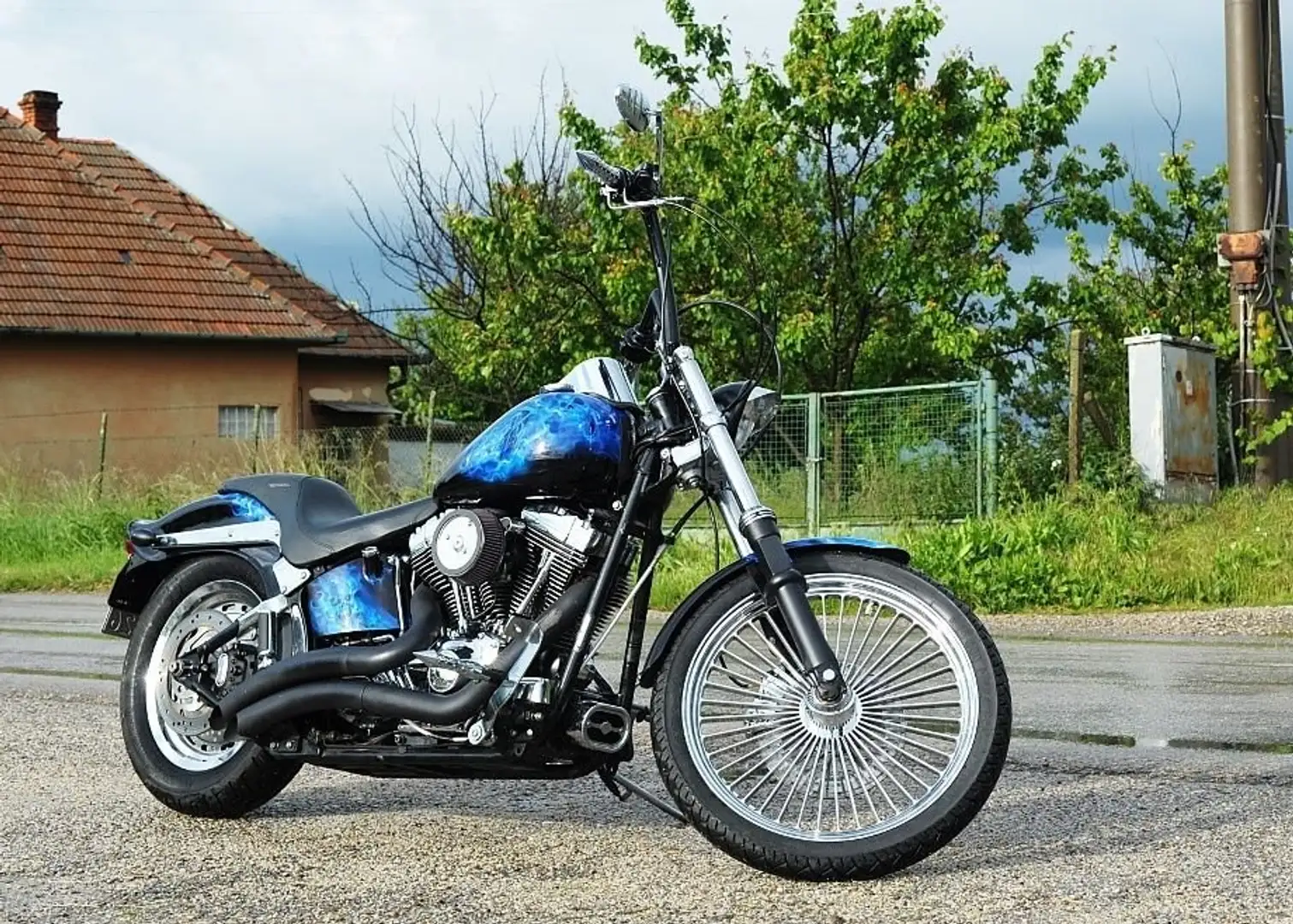 Harley-Davidson Softail Albastru - 2
