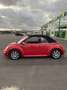 Volkswagen Beetle Cabrio 1.6 - thumbnail 4