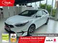 Kia Ceed SW / cee'd SW 1.5T 48V DCT 140 ULTIMATE STY Wit - thumbnail 1