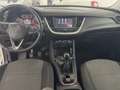 Opel Grandland X Grandland X 1.2 Advance s Bianco - thumbnail 16