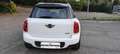 MINI Cooper Countryman Countryman R60 1.6 Autom. Multifunz. Km 120000 Blanc - thumbnail 6