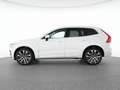 Volvo XC60 T8 Recharge AWD Plus Bright 21"+LUFTFAHRWER Білий - thumbnail 11