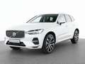 Volvo XC60 T8 Recharge AWD Plus Bright 21"+LUFTFAHRWER Білий - thumbnail 1