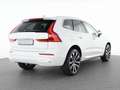 Volvo XC60 T8 Recharge AWD Plus Bright 21"+LUFTFAHRWER Білий - thumbnail 2