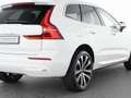 Volvo XC60 T8 Recharge AWD Plus Bright 21"+LUFTFAHRWER Білий - thumbnail 10