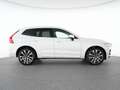 Volvo XC60 T8 Recharge AWD Plus Bright 21"+LUFTFAHRWER Білий - thumbnail 12